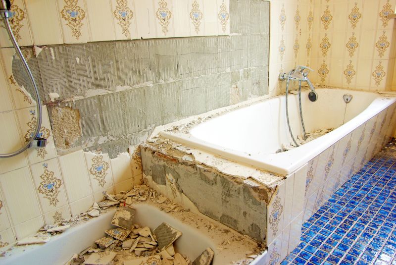 Shower Demolition